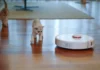 Keep Floors Clean with Robot Vacuums & Mops