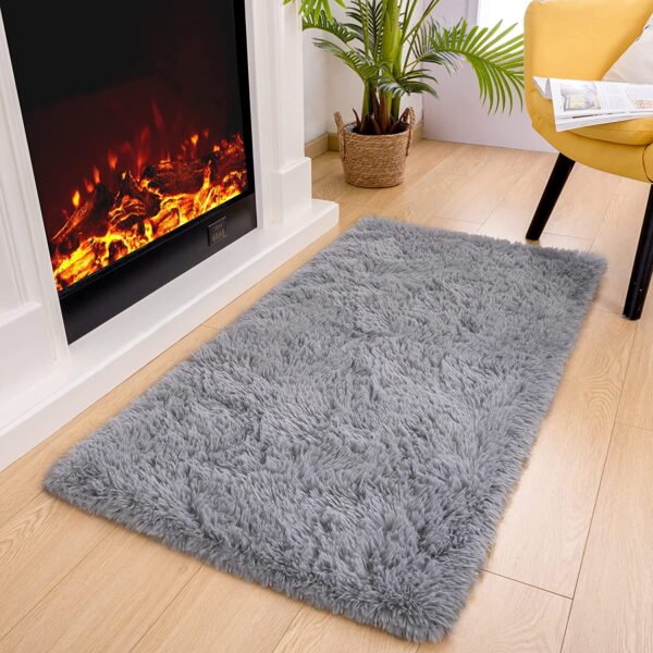 Lochas 2x3' Soft Fluffy Shaggy Area Rug, Gray, for Bedroom & Kids Room