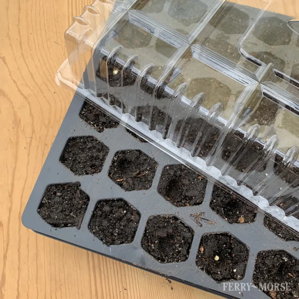 Ferry Morse Pro-Hex Seed Starting Tray - 72 Cells