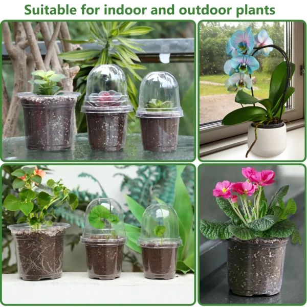 Fabulas Clear Nursery Pots Variety Pack - 36 Pots & 24 Humidity Domes