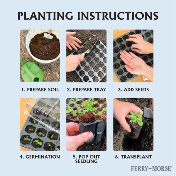 Ferry Morse Pro-Hex Seed Starting Tray - 72 Cells