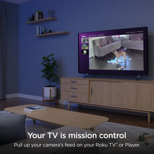Roku Indoor Camera SE (2-Pack)