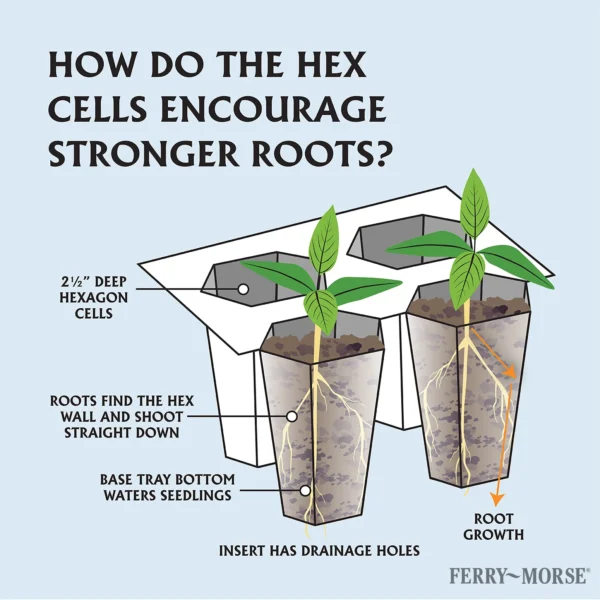 Ferry Morse Pro-Hex Seed Starting Tray - 72 Cells